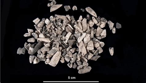 Remains at Bronze Age Funeral Pyre in Italy Analyzed | ARCHAEOLOGY WORLD