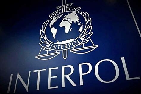 Piden A Interpol Declarar Alerta Roja Para Ubicar A Vladimir Cerr N En