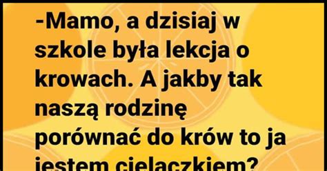 Lekcja W Szkole O Krowach