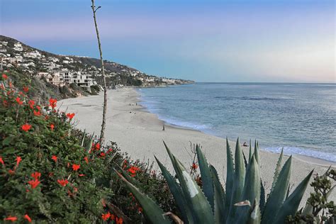 California beach sunset Photograph by Sviatlana Kandybovich - Pixels