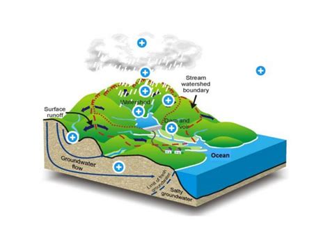 hydrologic cycle american water college