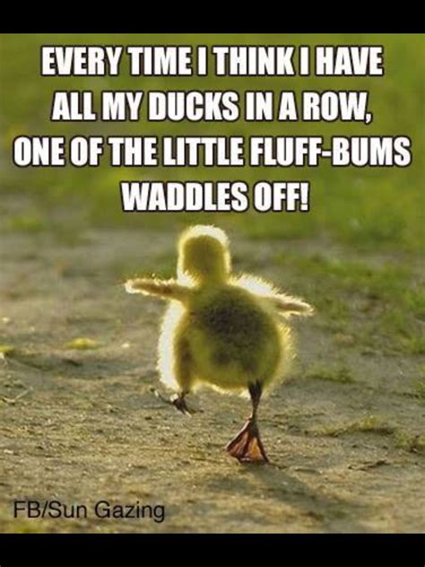 cute animal quotes and sayings 1