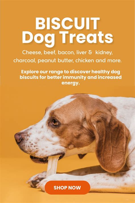 Premium Dog Treats Natural And Healthy Treats For Dogs