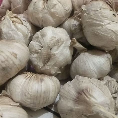 Jual BAWANG PUTIH HONAN KOTOR 1kg Shopee Indonesia