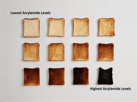 Sfa Something’s Burning Acrylamide In Heat Processed Food