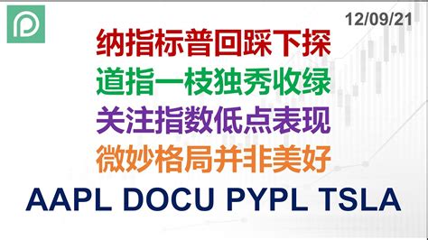 美股分析 AAPL DOCU PYPL TSLA 纳指标普回踩下探 道指一枝独秀收绿 关注指数低点表现 微妙格局并非美好 YouTube