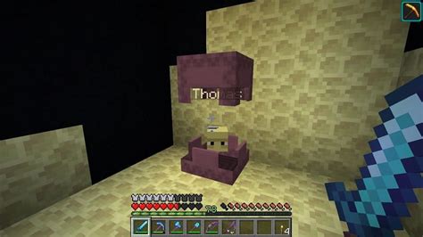 Top 5 Things You Probably Didn T Know About Shulkers In Minecraft