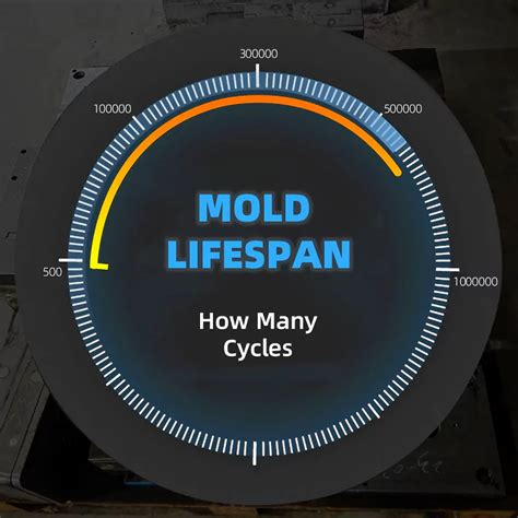 Life Cycle Of A Mold Understanding Mould Life Cycle