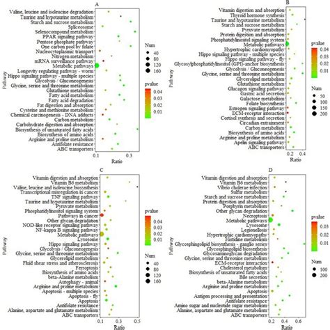 Kegg Pathway Enrichment Analysis Showing The Significantly Enriched