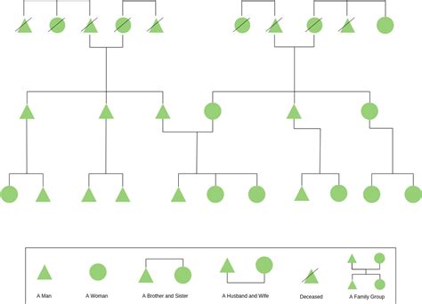 Kinship Relationship Chart