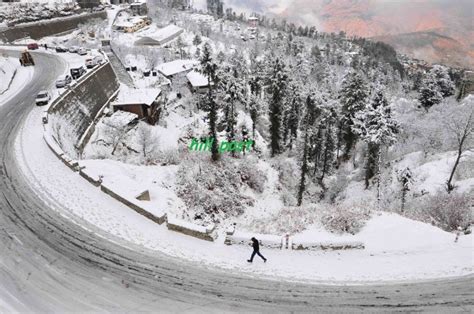 Snowfall At Manali Kufri Narkanda Shimla Hill Post