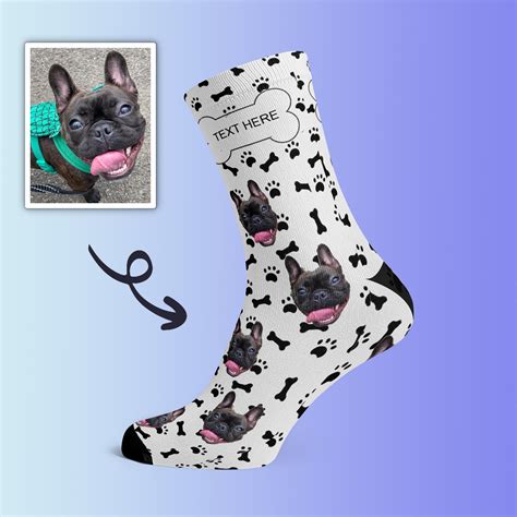 socks dog face 8