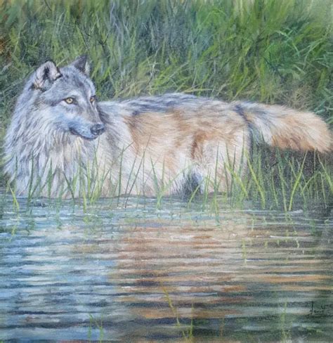 ORIGINAL OIL PAINTING By Artist David Stribbling Grey Wolf 185 00