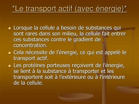 Ppt Lhom Ostasie Et La Membrane Plasmique Powerpoint Presentation