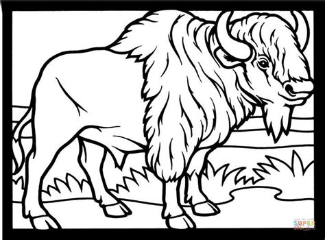 Plains Bison Coloring Page Free Printable Coloring Pages