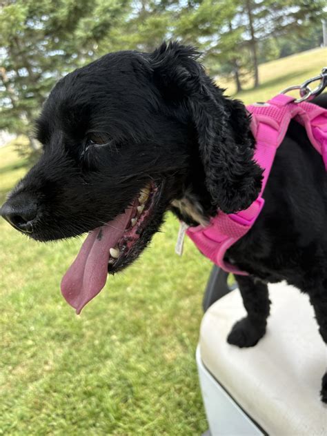 Hidden Hilltop Family Campground