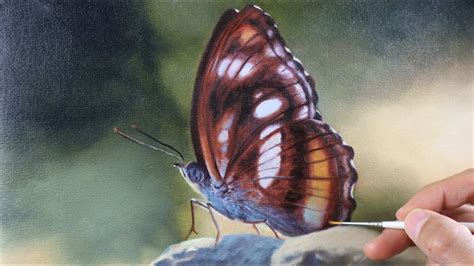 Realistic Butterfly Paintings