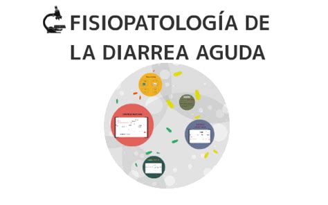 Fisiopatolog A De La Diarrea Aguda By Raisa Mariscal On Prezi