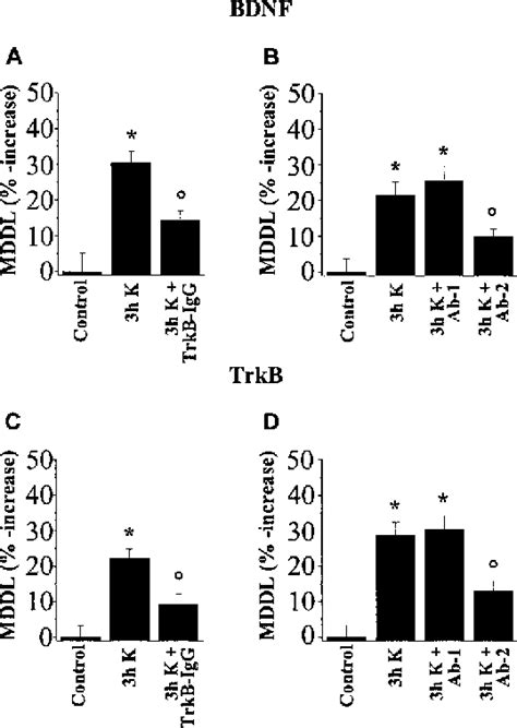 Figure From Brain Derived Neurotrophic Factor Bdnf Induces