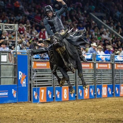 Houston Rodeo Rundown: What To Do At Texans' Favorite Pastime - Secret ...