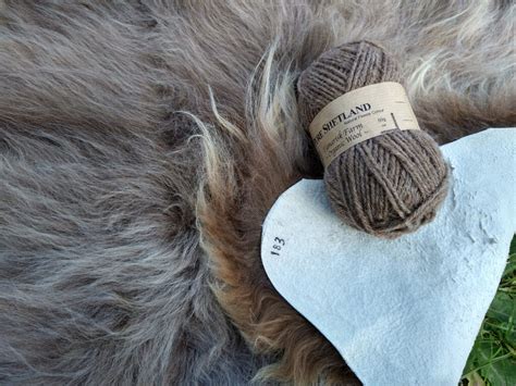 Shetland Sheepskin 183 Tamarisk Farm West Bexington Nr Bridport