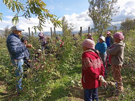 Productores De Tungurahua Se Capacitan En Agricultura Sustentable