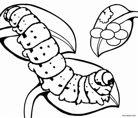 Cocoon Coloring Page At Getcolorings Free Printable Colorings