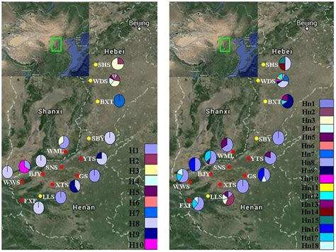 Geographical Distribution Of 10 Cpdna A And 18 B Nrdna Haplotypes