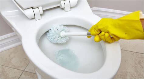 How To Clean Toilet Stains How To Cleaning Blog