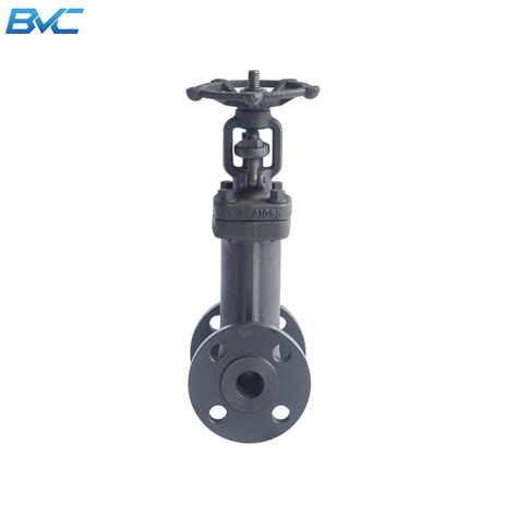 Api 602 Forged Steel A105 F304 F316 Flange Rf Class150 Gate Valve 12