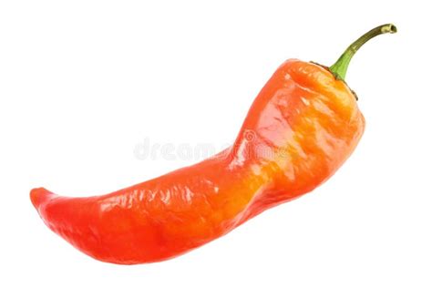 Single Red Hot Chilli Pepper Isolated On White Stock Photo Image Of