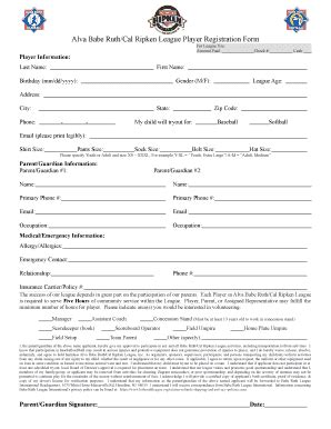 2015 Alva Babe Ruth Cal Ripken League Player Registration Form Fill