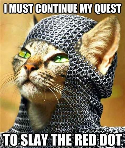 Funny Quotes Knight Quotesgram