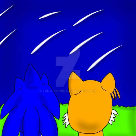 Contest Entry Sonic And Tails By Lunathepup On Deviantart