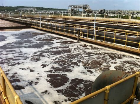 Microbes For Wastewater Ammonia Removal Novozymes