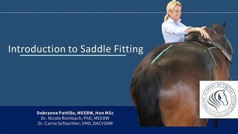 Introduction to Saddle Fitting – Equinology Institute