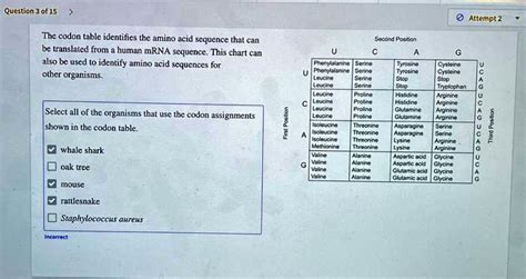 Solvedquestion 3 Of 15 Attempt 2 The Codon Table Identifies The Amino Acid Sequence That Can Bc