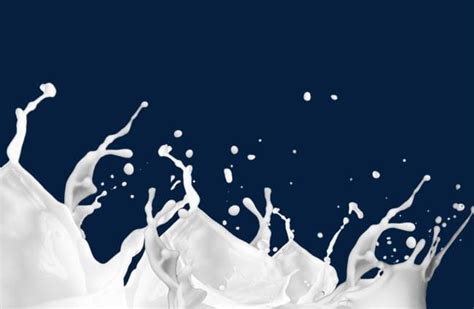 Milk Splash PNG, Clipart, Effect, Milk, Milk Clipart, Milk Splash, Splash Free PNG Download