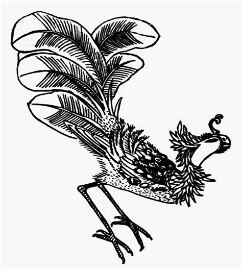 Chinese Mythology: Phoenix. /Nchinese Phoenix, Symbol Of Peace And ...