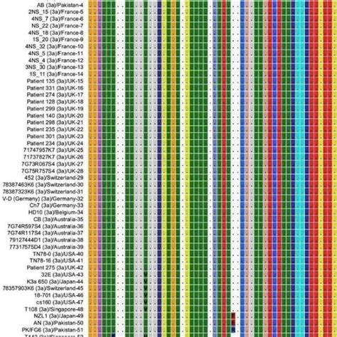 Multiple Sequence Alignment Of NS4A Protein Sequences Of HCV Genotype