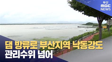 댐 방류로 부산지역 낙동강도 관리수위 넘어 2024 07 11목뉴스데스크부산mbc Youtube