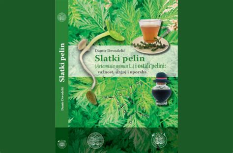 Slatki pelin Artemisia annua L i ostali pelini važnost uzgoj i