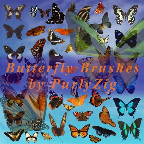 Most Wanted Free Photoshop Butterfly Brushes Tutorialchip