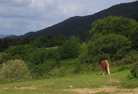 Paseo Rural Por La Falda Sur De Jaizkibel Nublado Y Freco Flickr