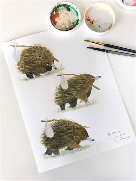 The Echidna on Behance