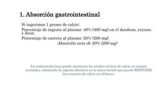 Homeostasis Renal De Calcio PPT