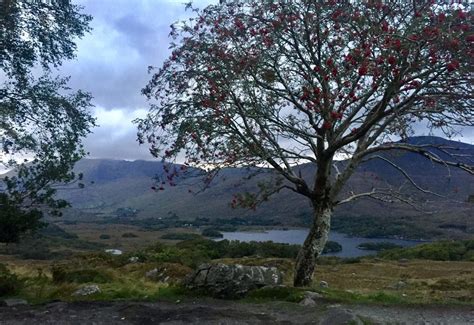 Top 8 Things To Do When You Visit Killarney National Park Two