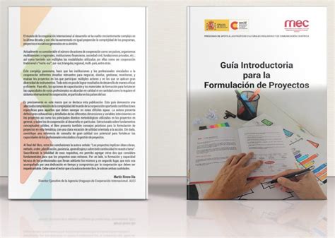 Gu A Introductoria Para La Formulaci N De Proyectos Tamburinirec