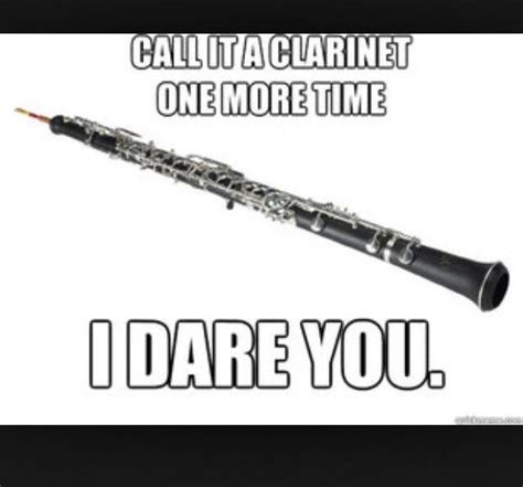 Do Not Insult My Clarinet Band Jokes Marching Band Humor Band Humor