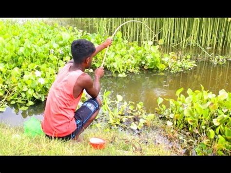 Traditional Fish Hunting In Village Canal Fish Hunting At The Canal